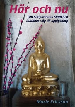 Här och nu : om Satipatthana Sutta och Buddhas väg till upplysning