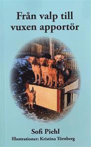 Från valp till vuxen apportör