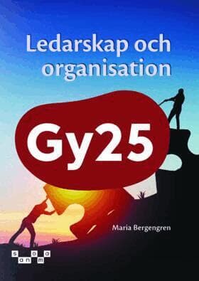 Ledarskap och organisation, upplaga 2