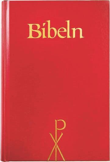 Bibel 2000, storstil