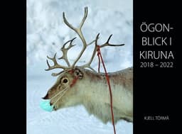 Ögonblick i Kiruna 2018-2022