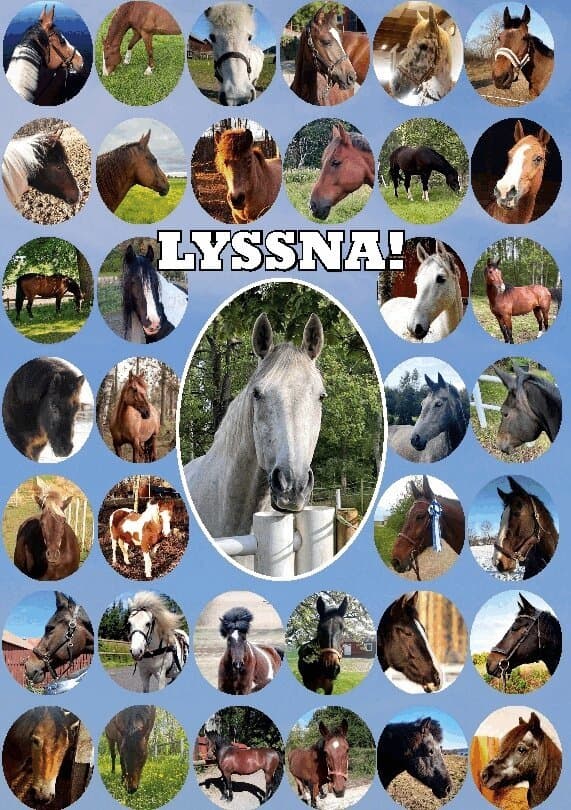 Lyssna! : en bok av hästar för människor