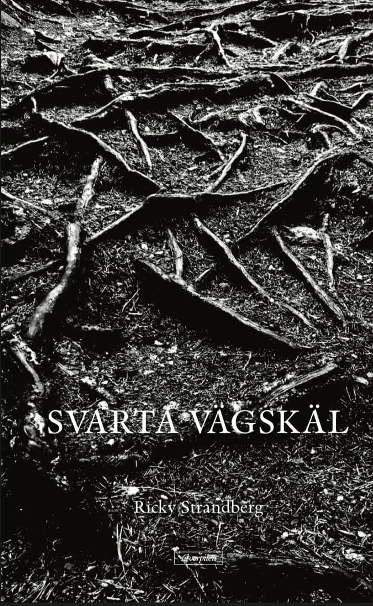 Svarta vägskäl