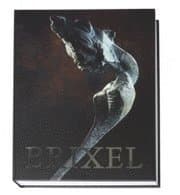 Brixel
