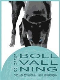 Boken om bollvallning