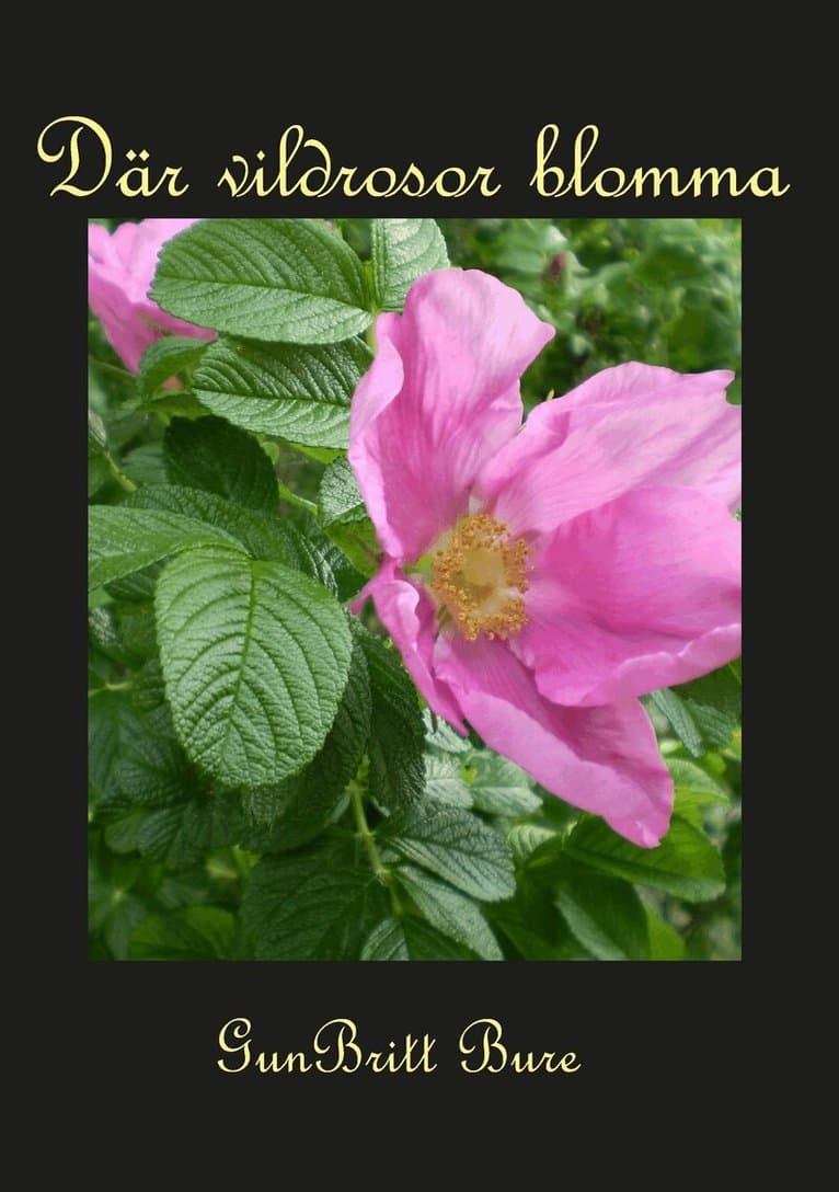 Där vildrosor blomma