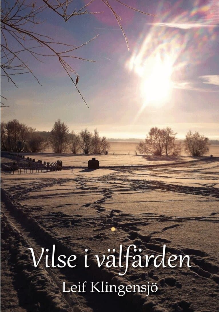 Vilse i välfärden