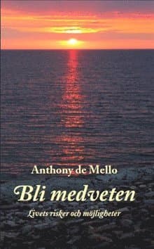 Bli medveten : livets risker och möjligheter