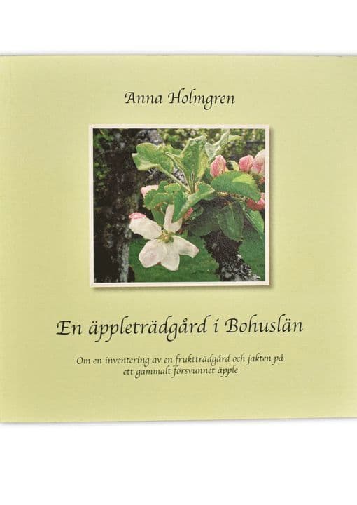 En äppleträdgård i Bohuslän. Om en inventering av en fruktträdgård och jakten på ett gammalt försvunnet äpple.
