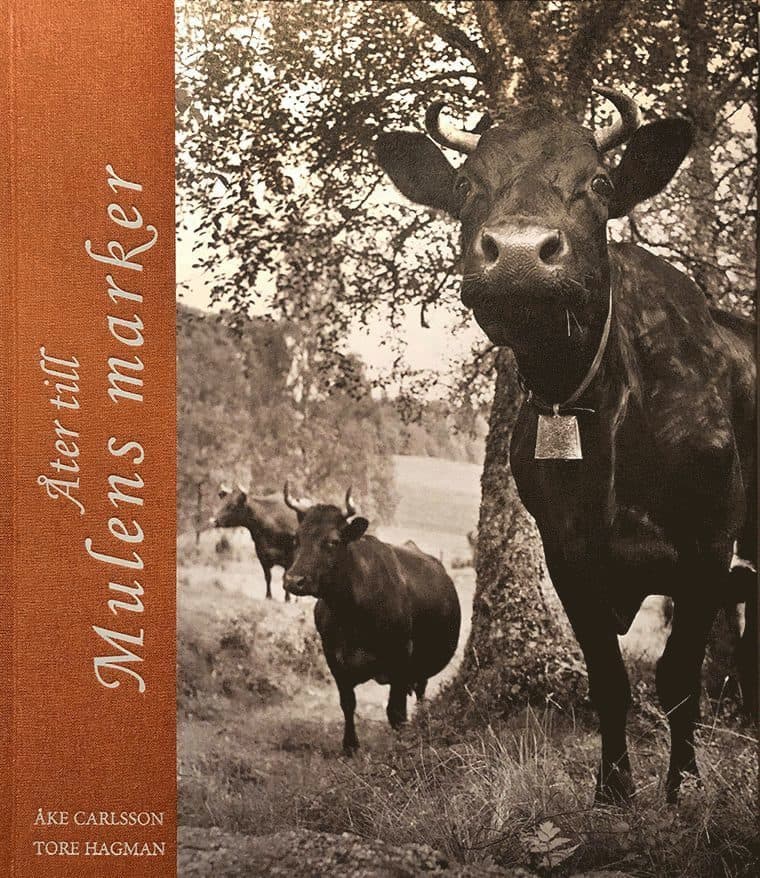 Åter till Mulens marker