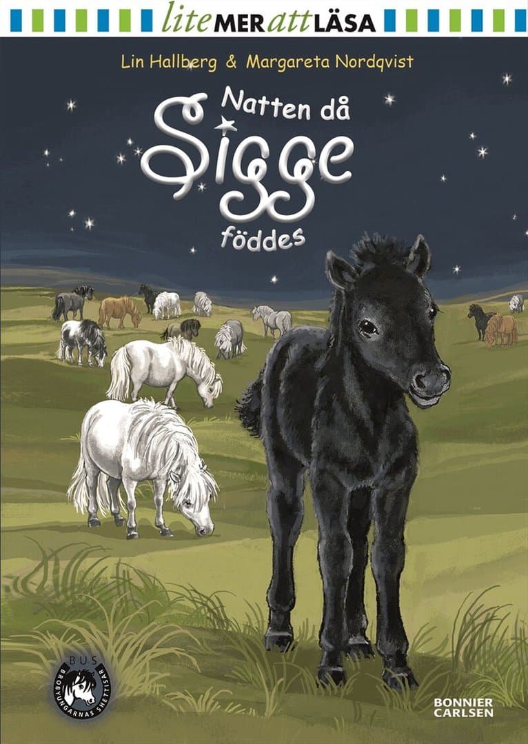 Omslag till boken Natten då Sigge föddes av Lin Hallberg