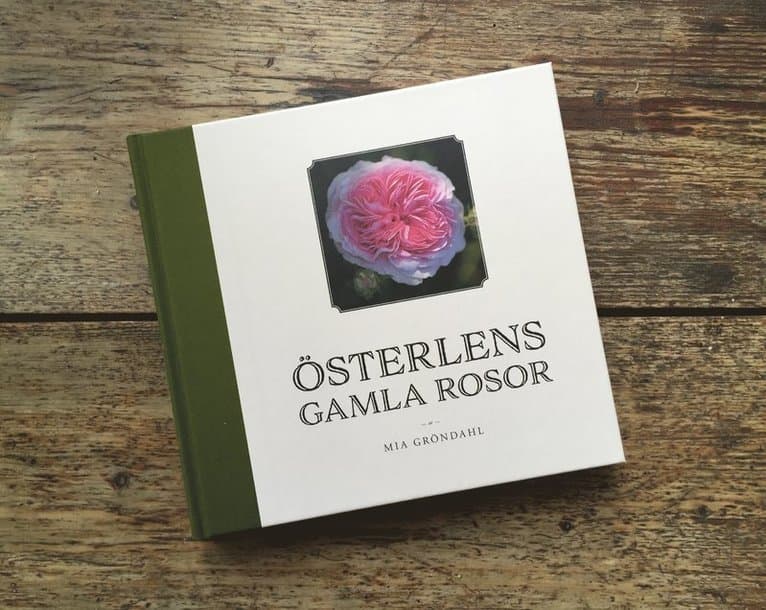 Österlens gamla rosor