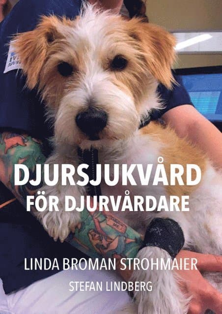 Djursjukvård för djurvårdare