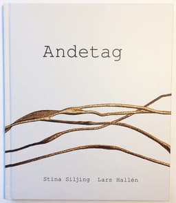 Andetag