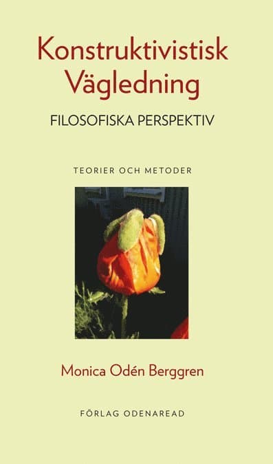 Konstruktivistisk Vägledning Filosofiska Perspektiv Teorier och Metoder