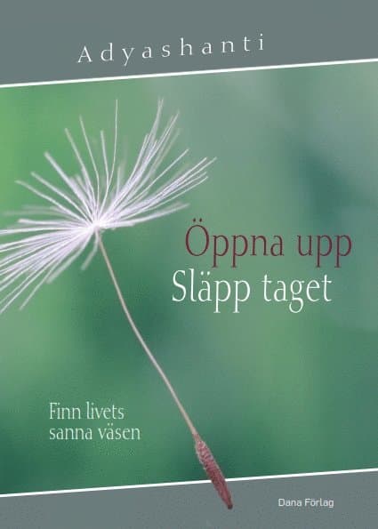 Öppna upp, släpp taget : finn livets sanna väsen
