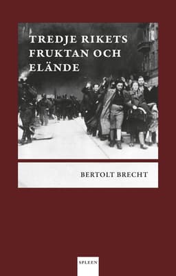 Tredje rikets fruktan och elände