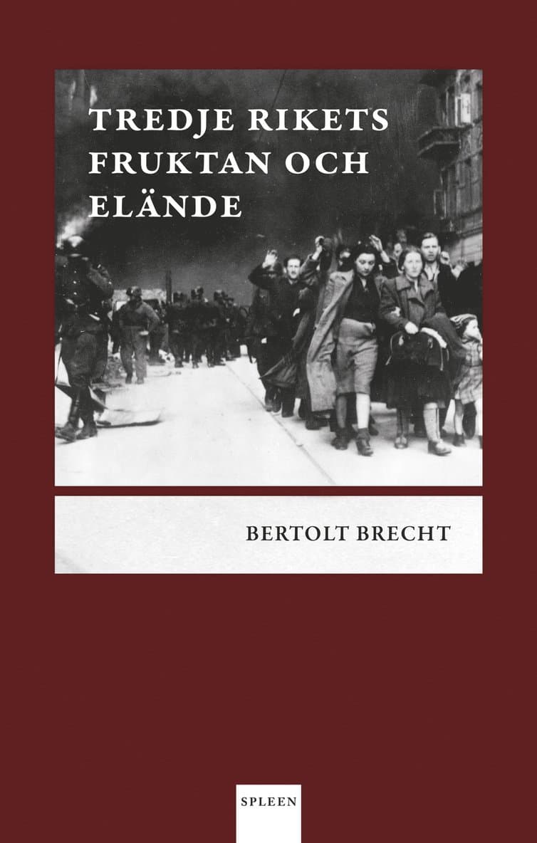 Tredje rikets fruktan och elände
