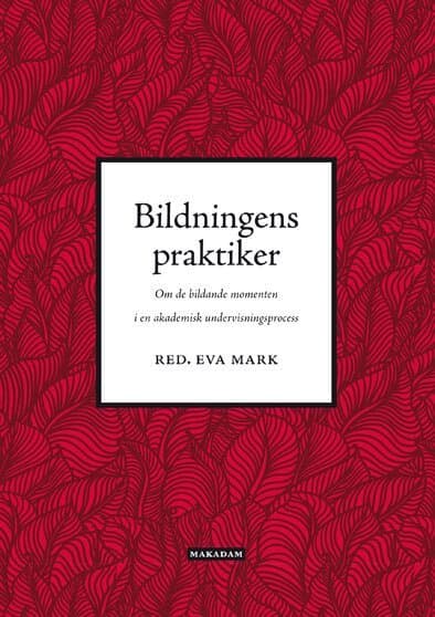 Bildningens praktiker : om de bildande momenten i en akademisk undervisningsprocess