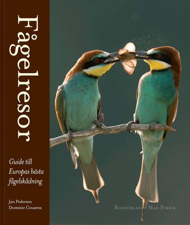 Fågelresor : guide till Europas bästa fågelskådning