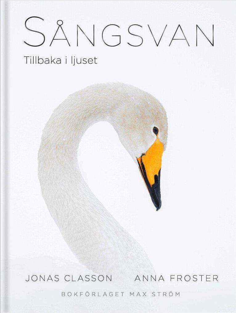 n Anna Froster tecknar nordisk historia ur svanperspektiv best book