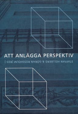 Att anlägga perspektiv