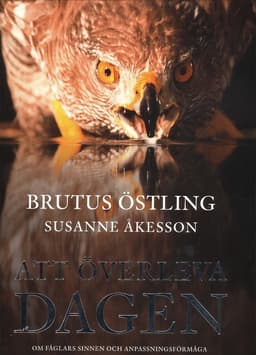 Att överleva dagen