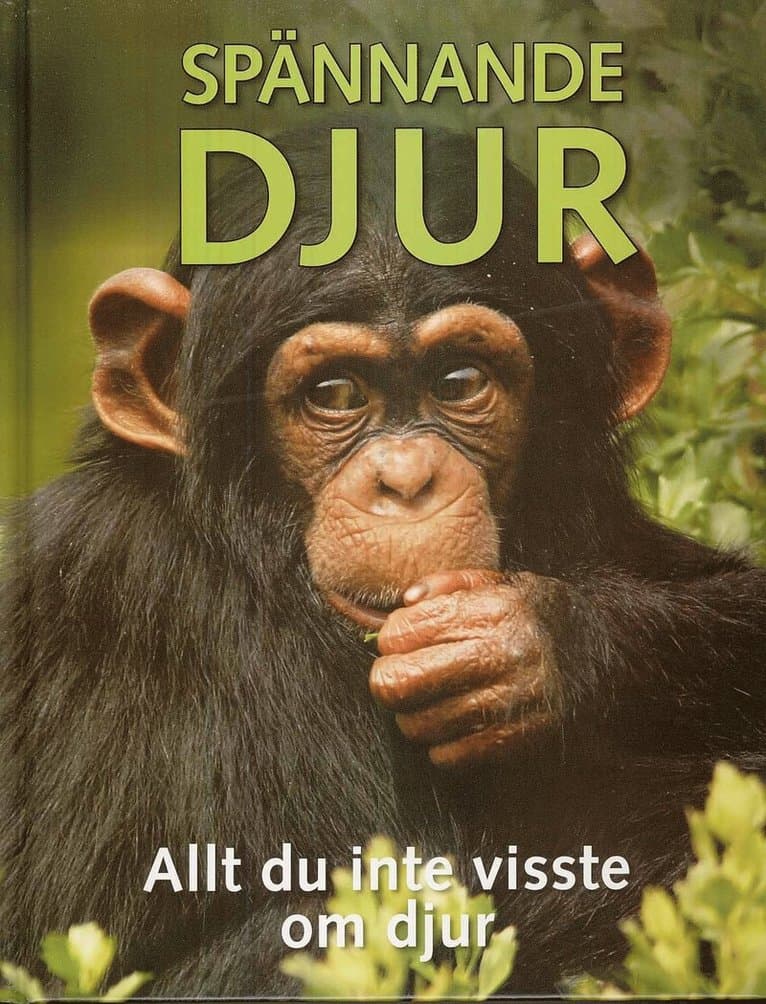 Spännande djur