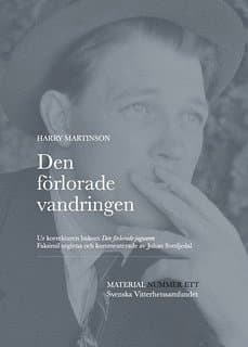Den förlorade vandringen