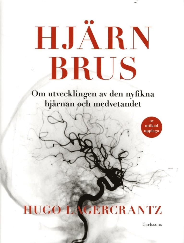 Hjärnbrus : om utvecklingen av den nyfikna hjärnan och medvetandet