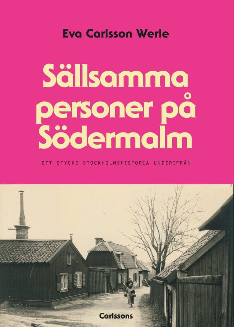 Sällsamma personer på Södermalm : ett stycke Stockholmshistoria underifrån