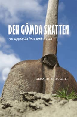 Den gömda skatten