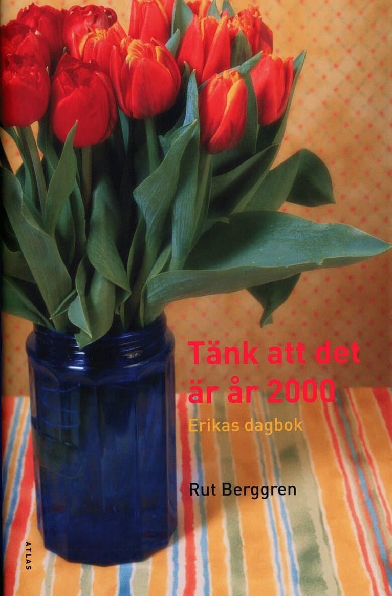 Tänk att det är år 2000 : Erikas dagbok