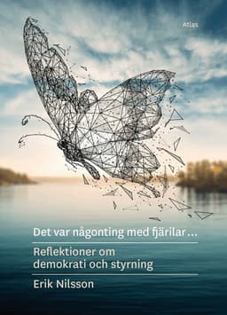 Det var någonting med fjärilar : reflektioner om demokrati och styrning
