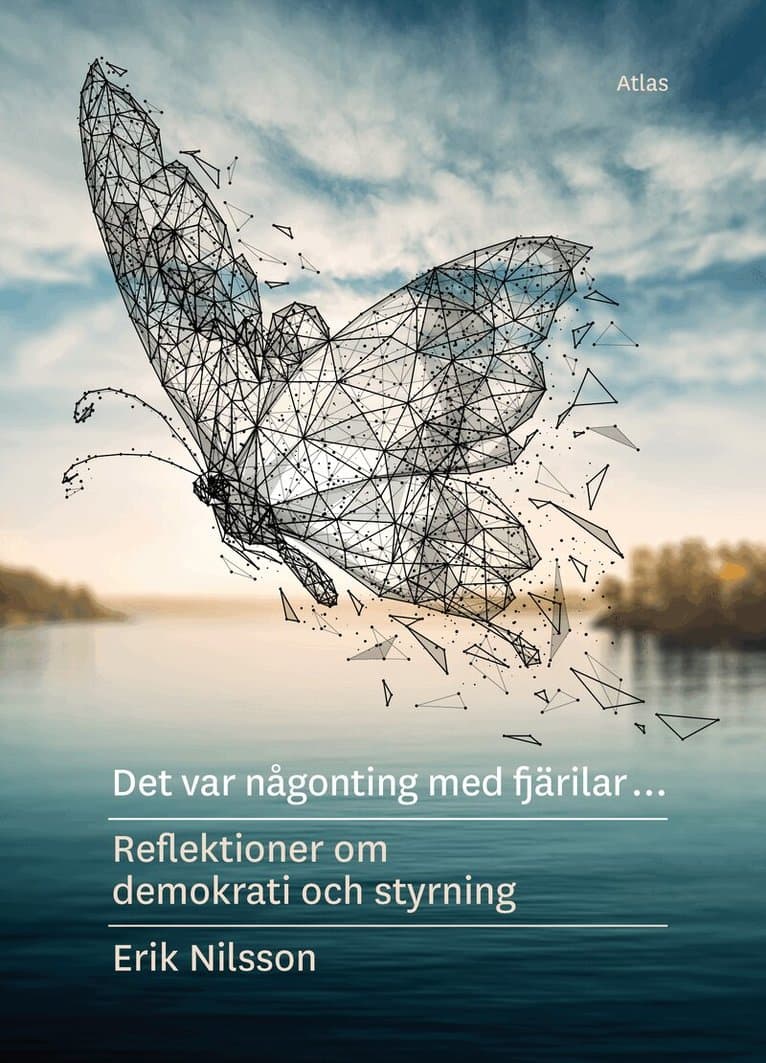 Det var någonting med fjärilar : reflektioner om demokrati och styrning