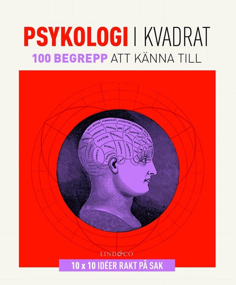 Psykologi i kvadrat : 100 begrepp att känna till