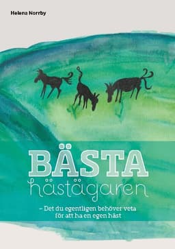 Bästa hästägaren : det du egentligen behöver veta för att ha en egen häst