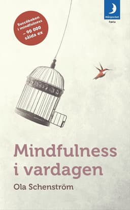 Mindfulness i vardagen : Vägar till medveten närvaro