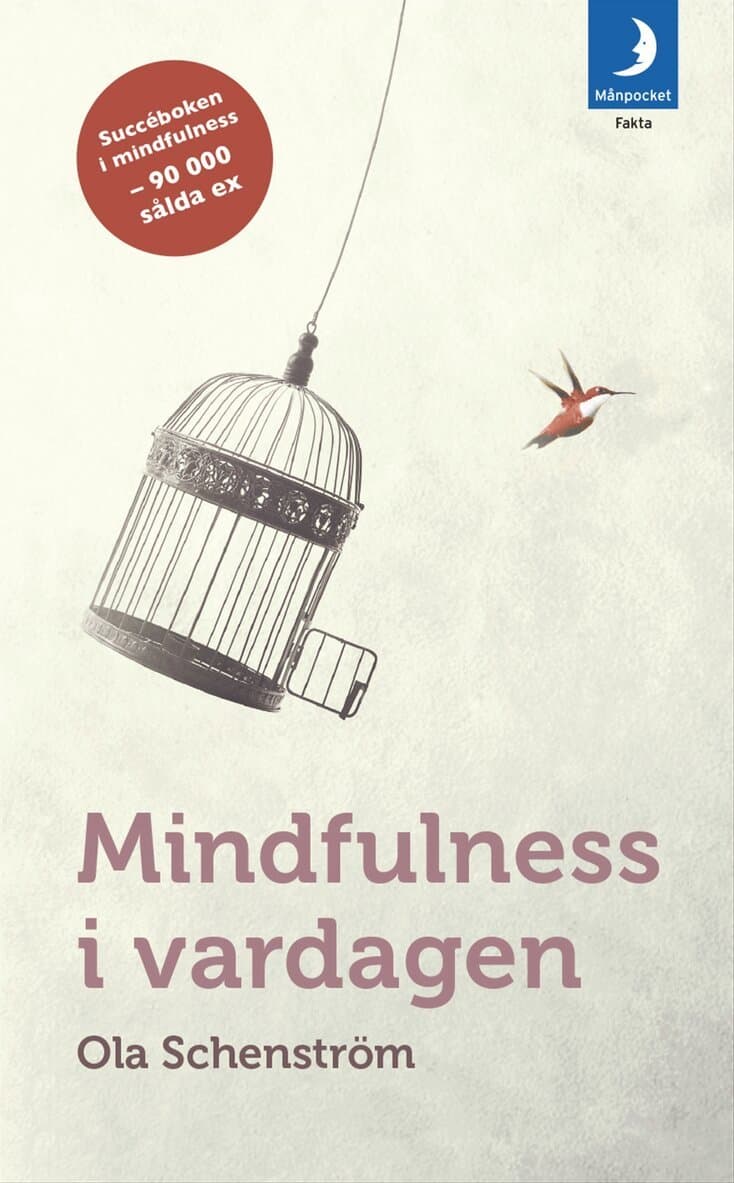Mindfulness i vardagen : Vägar till medveten närvaro