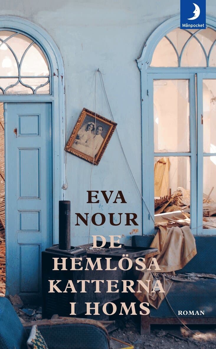 De hemlösa katterna i Homs