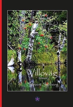Villoväg