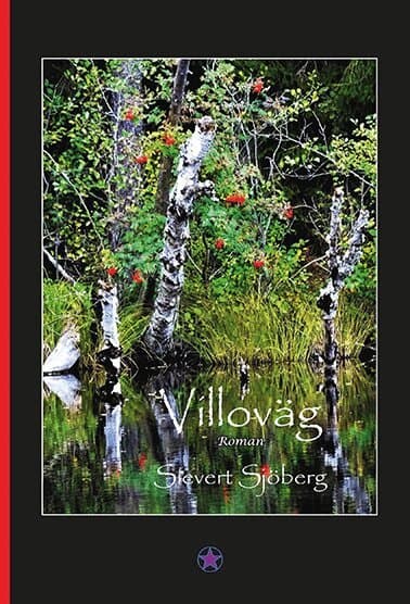 Villoväg