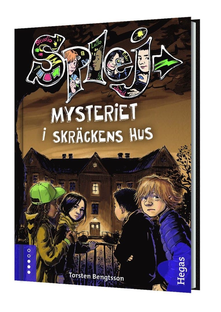 Mysteriet i skräckens hus