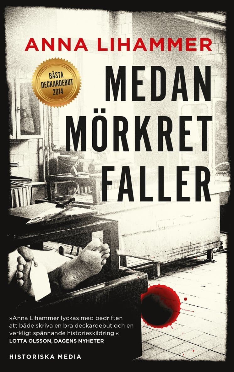 Medan mörkret faller