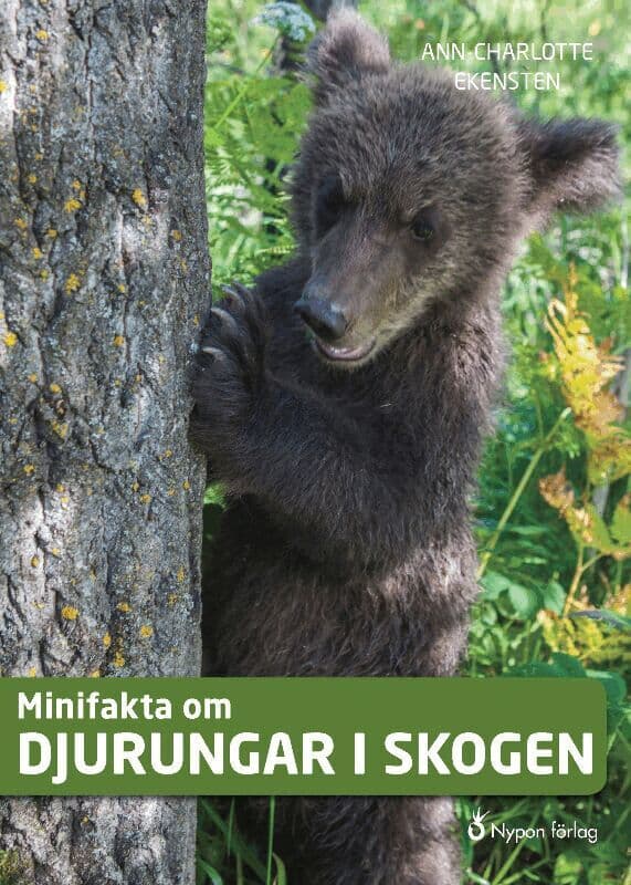 Minifakta om djurungar i skogen