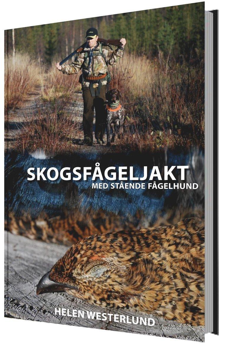 Skogsfågeljakt med stående fågelhund