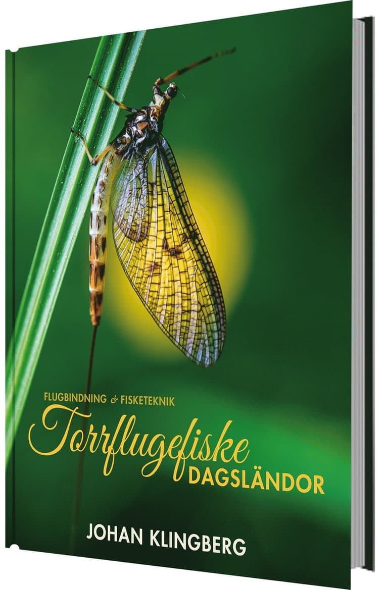 Torrflugefiske : dagsländor