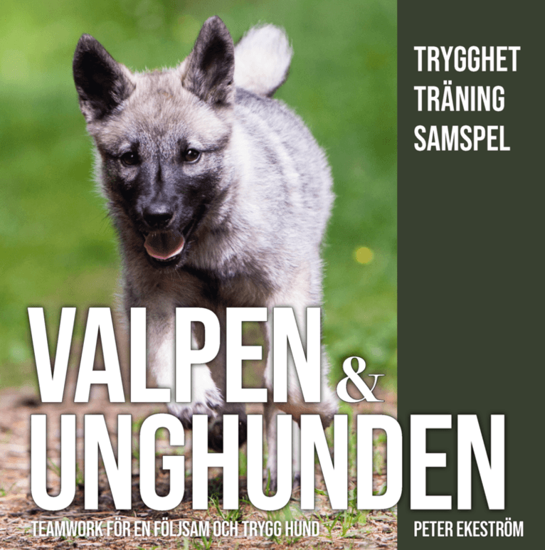 Valpen & unghunden : teamwork för en följsam och trygg hund