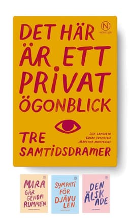 Det här är ett privat ögonblick : tre samtidsdramer