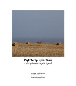 Psykoterapi i praktiken : hur gör man egentligen?